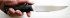 Нож Беркут (сталь 95х18, граб) классик в руке